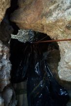 The only one smart enough to stay out of this mess was Jason.