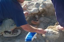 The second day a big find.  An Iberian or Roman amphora