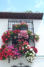 A beautiful balcony in the Albaicyn.