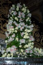 Flowers are always a on the passos.