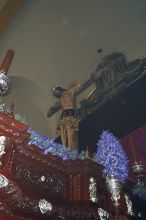 Some passo's have many flowers on them.  They look good when they start.  However many times when you see them on the street they are wilted and dead.