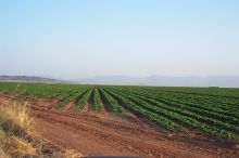 Summer time - growing season!