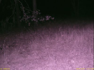 I guess we cannot see because it is night!