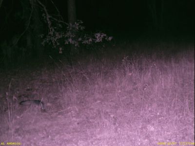 Left, slightly below the middle.  What is it?