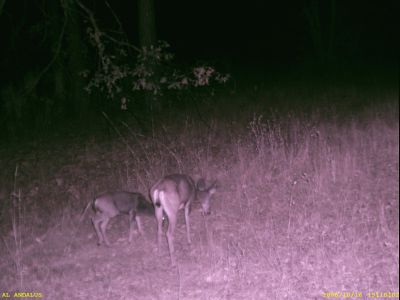 A Friend came along.