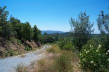 Looking down the road to our 42 acres.